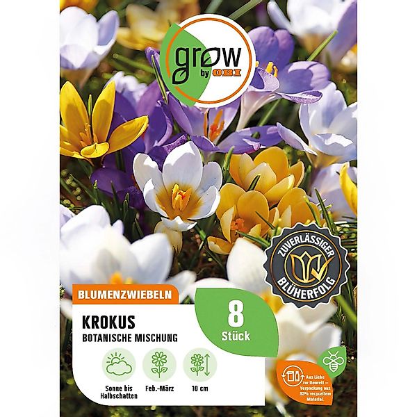 GROW by OBI Krokus Botanische Mischung 8 Stück Crocus botanical Mixed günstig online kaufen
