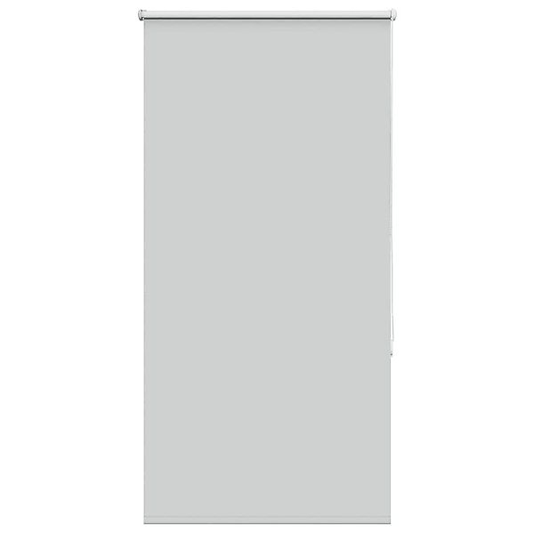 Rollo Verdunkelungsrollo Hellgrau 85x175 cm Stoffbreite günstig online kaufen