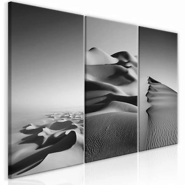 artgeist Wandbild Desert Landscape (Collection) schwarz/weiß Gr. 60 x 30 günstig online kaufen