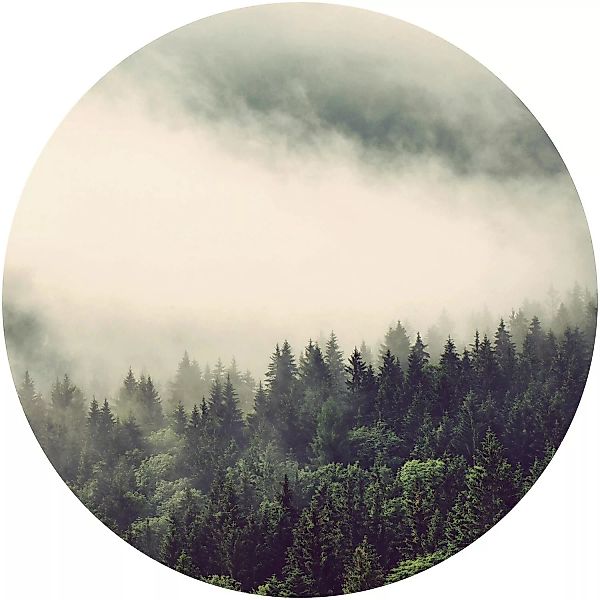 Erfurt Fototapete Vlies Wald im Nebel Ø 188 cm günstig online kaufen
