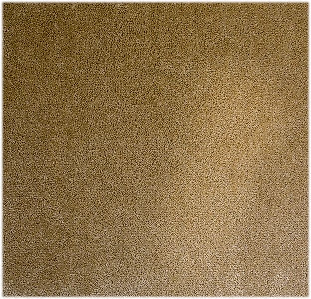 Andiamo Teppichboden »Levin, Velours, Made in Belgium«, rechteckig, 10 mm H günstig online kaufen