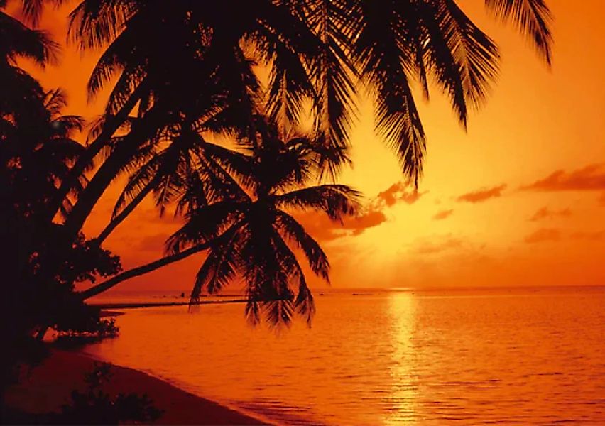 Papermoon Fototapete »Tropic Sunset« günstig online kaufen