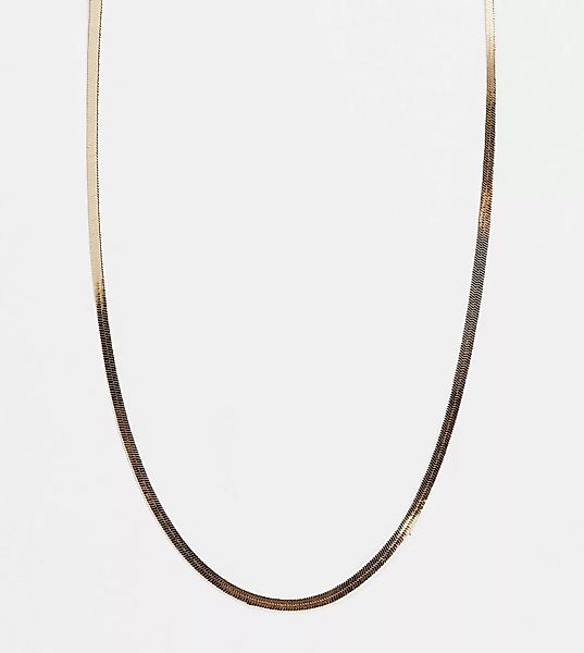 ASOS DESIGN Curve – Goldfarbene 4-mm-Halskette im Fischgrätendesign günstig online kaufen