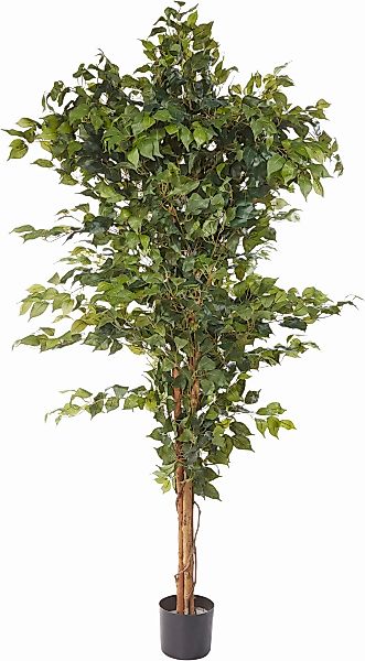 Kunstpflanze Ficus Benjamini Grünpflanze, Creativ green, Höhe 150 cm günstig online kaufen