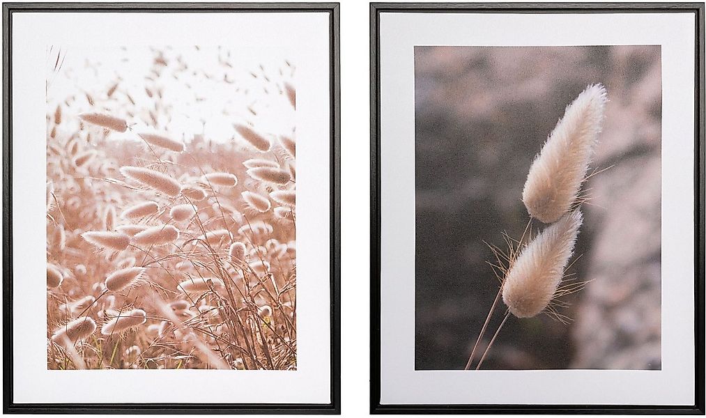 Creativ home Bild mit Rahmen Schilf, (2 St), auf Canvas-Leinwand günstig online kaufen