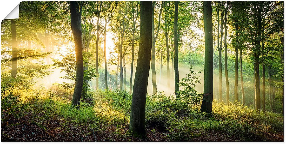 Artland Wandbild "Herbst im Wald II", Waldbilder, (1 St.), als Alubild, Out günstig online kaufen