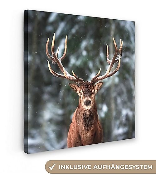 OneMillionCanvasses® Leinwandbild Rotwild - Winter - Schnee - Wald - Natur günstig online kaufen