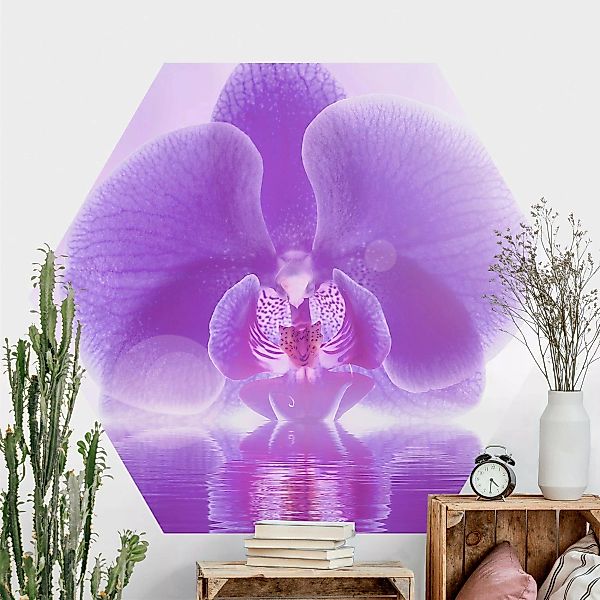 Hexagon Fototapete selbstklebend Lila Orchidee auf Wasser günstig online kaufen