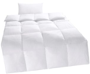 Home affaire Kunstfaserbettdecke + Kopfkissen »Taylore Set: 1 Bettdecke 135 günstig online kaufen