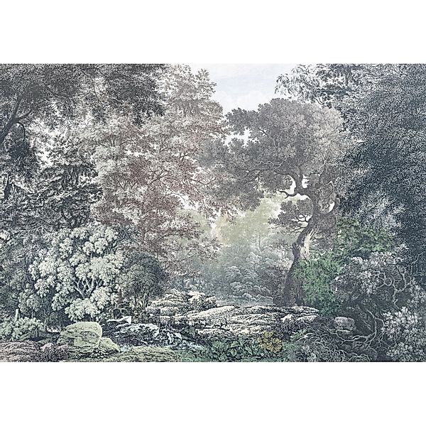 Komar Fototapete Vlies Fairytale Forest  400 x 280 cm günstig online kaufen