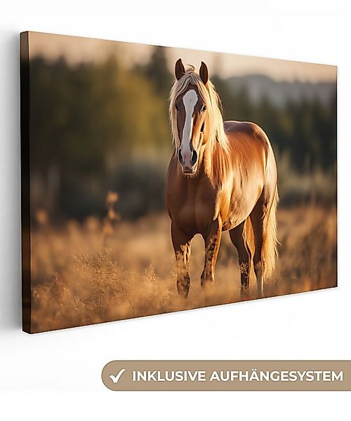 OneMillionCanvasses® Leinwandbild Pferd - Braun - Natur - Weide - Tier, Fot günstig online kaufen