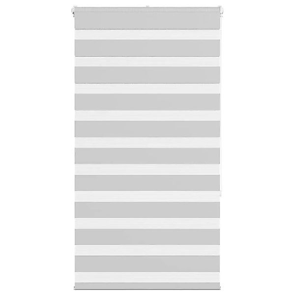 vidaXL Doppelrollo Hellgrau 75x150 cm Stoffbreite 70,9 cm Polyester 4014438 günstig online kaufen