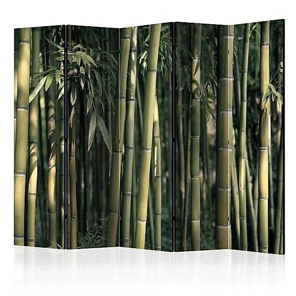 5-teiliges Paravent - Bamboo Exotic Ii [room Dividers] günstig online kaufen