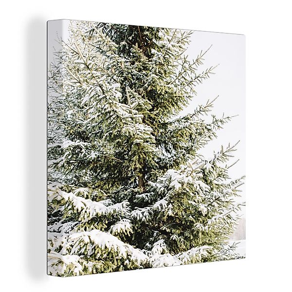 OneMillionCanvasses® Leinwandbild Winter - Baum - günstig online kaufen