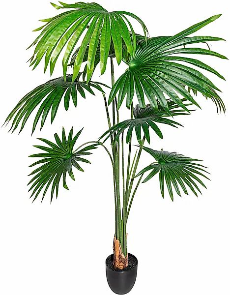 Creativ green Kunstbaum »Washingtonia« günstig online kaufen