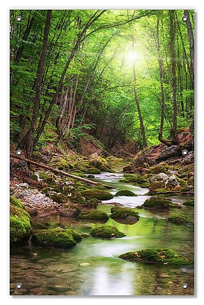 Wallario Sonnenschutz Fluss im Wald, blickdicht, günstig online kaufen