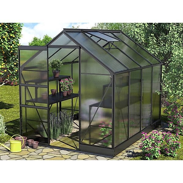 Vitavia Gewächshaus Apollo 5000 Schwarz 5 m² inkl. Fundament günstig online kaufen