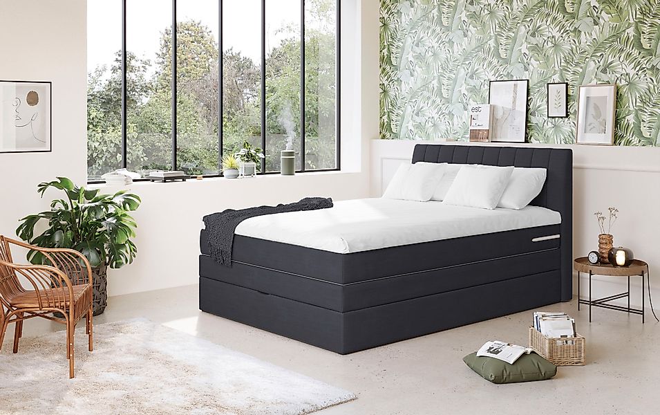 COTTA Boxspringbett »Shark inkl. Bettkasten und Topper« erhältlich in den B günstig online kaufen