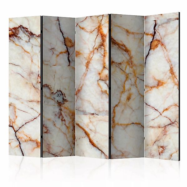 5-teiliges Paravent - Marble Plate Ii [room Dividers] günstig online kaufen