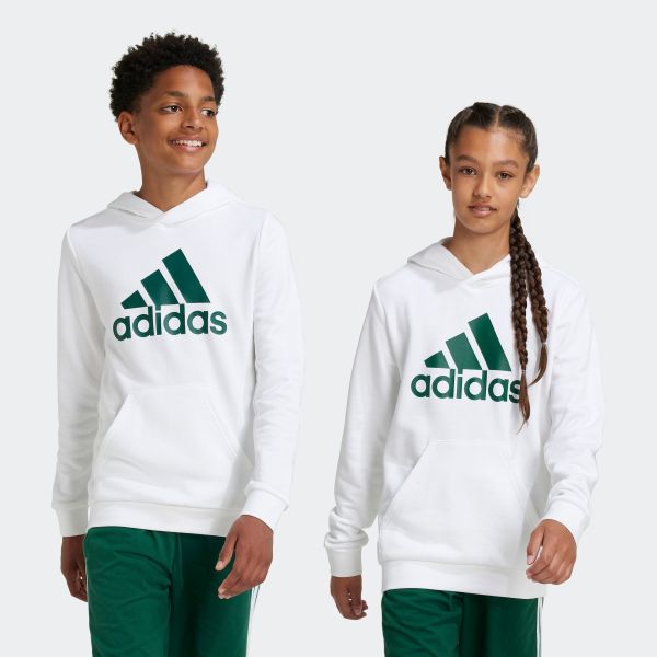 adidas Sportswear Kapuzensweatshirt BIG LOGO ESSENTIALS günstig online kaufen