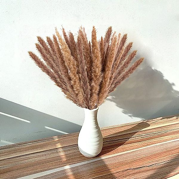 Trockenblume Trockenpflanzen, Pampasgras getrocknet, Schilfgras Deko günstig online kaufen