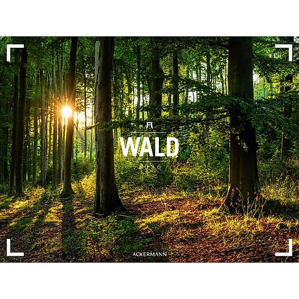 Wald - Ackermann Gallery Kalender 2026 günstig online kaufen