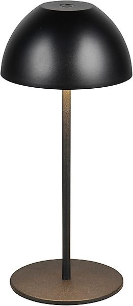 Reality Leuchten LED Tischleuchte ORTIZ, Outdoor günstig online kaufen