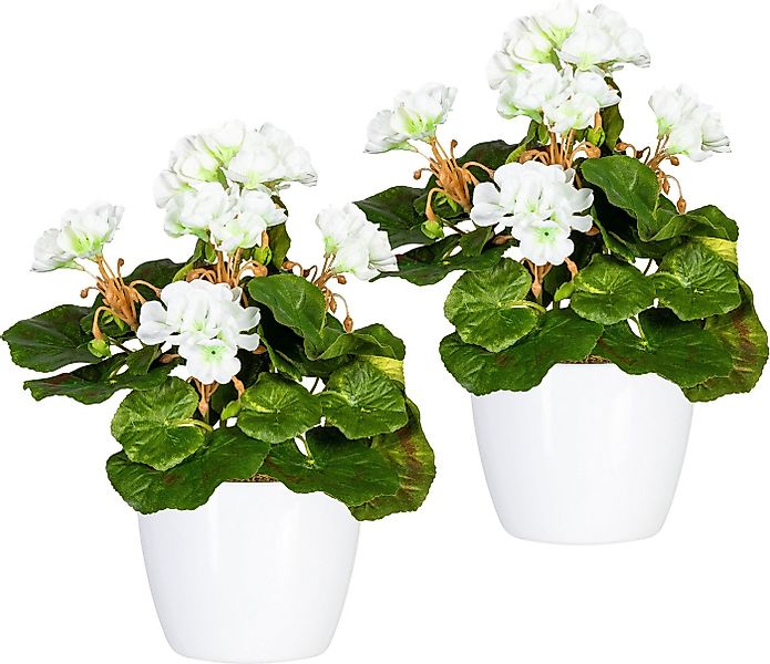 Kunstpflanze Havel Geranie, Home affaire, Höhe 24 cm, im Topf, 2er Set günstig online kaufen