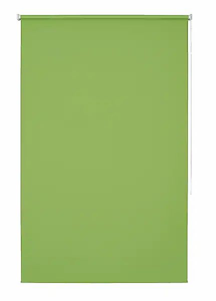 Good Life Seitenzugrollo »Amelie«, Lichtschutz, mit Bohren, 1 Stück günstig online kaufen