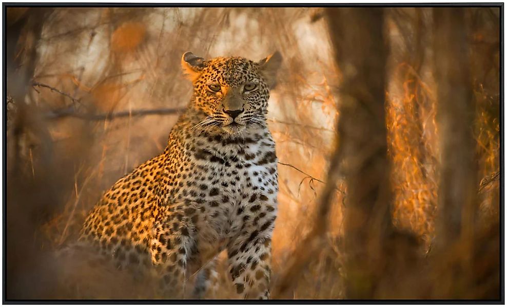 Papermoon Infrarotheizung »Leopard in Wald«, sehr angenehme Strahlungswärme günstig online kaufen