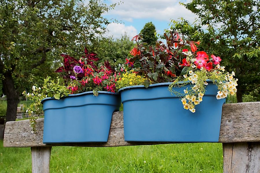 KHW Balkonkasten "Flowerclip XXL" BxTxH: 57,5x27,7x27 cm günstig online kaufen
