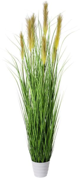 Kunstgras, Creativ green, Höhe 180 cm günstig online kaufen