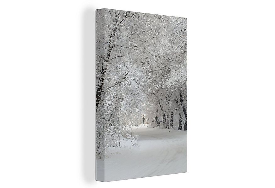 OneMillionCanvasses® Leinwandbild Bäume - Schnee - Winter, Fotodruck (1 St) günstig online kaufen