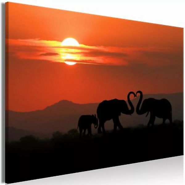 artgeist Wandbild Elephants in Love (1 Part) Wide mehrfarbig Gr. 60 x 40 günstig online kaufen