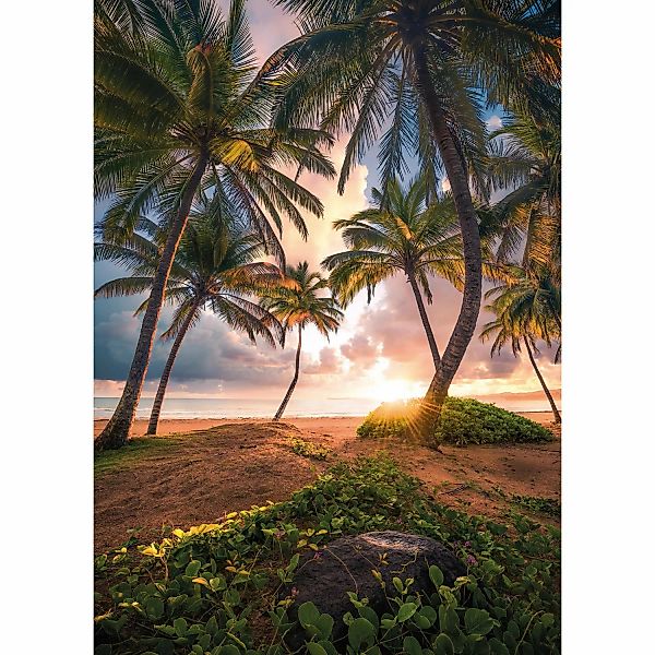 Komar Fototapete Vertical Paradise B/L: ca. 200x280 cm günstig online kaufen