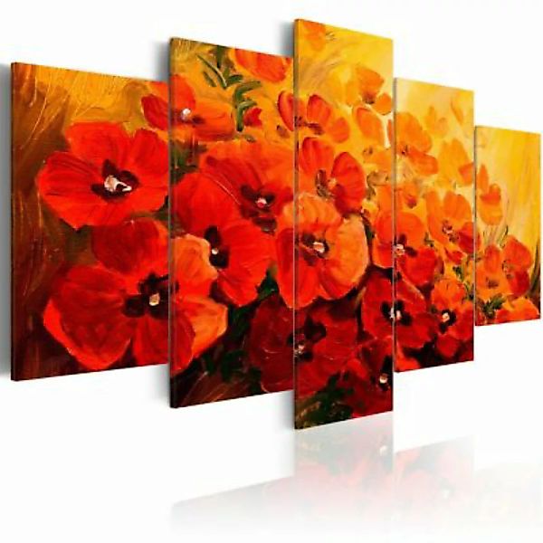artgeist Wandbild Land of Poppies mehrfarbig Gr. 200 x 100 günstig online kaufen