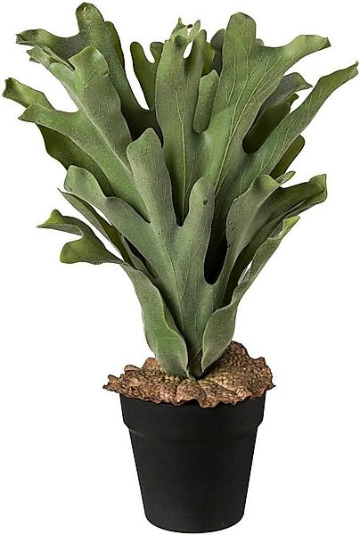 Künstliche Zimmerpflanze, Creativ green, Höhe 45 cm günstig online kaufen