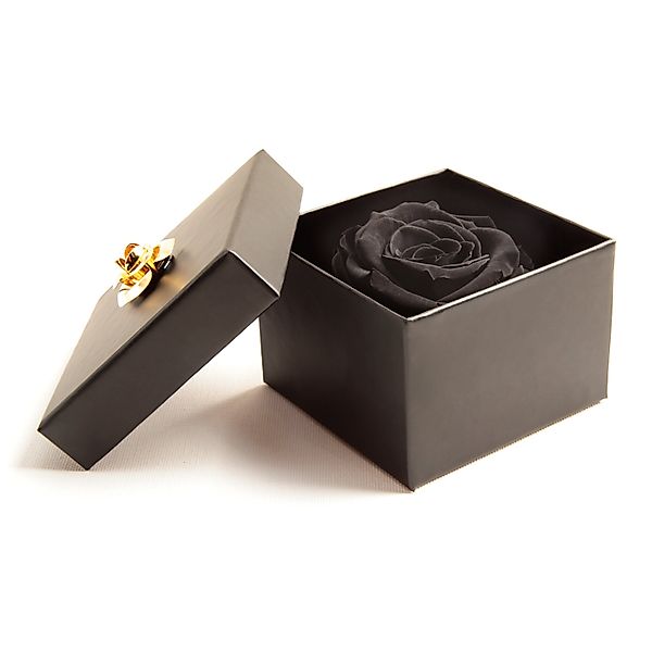 Kunstblume 1 Infinity Rose haltbar 3 Jahre ewige Rose in Box Rose, ROSEMARI günstig online kaufen