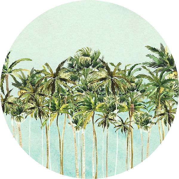 Komar Fototapete »Vlies selbstklebend - Coconut Trees - Größe 125 x 125 cm« günstig online kaufen