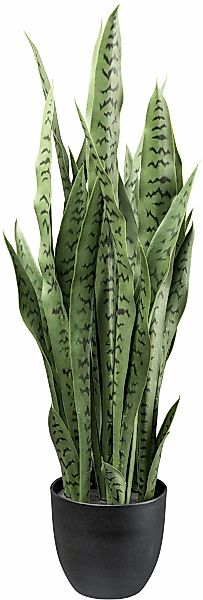 Creativ green Künstliche Zimmerpflanze "Sanseveria", mit detailgetreuen Blä günstig online kaufen