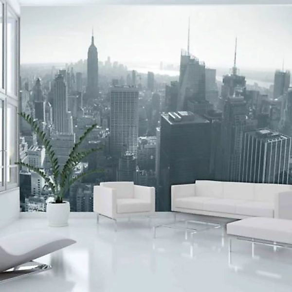 artgeist Fototapete Schwarz-weißes Panorama von New York City grau/weiß Gr. günstig online kaufen