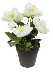 Kunstblume Christrosenbusch im Topf PM Kunstpflanzen günstig online kaufen