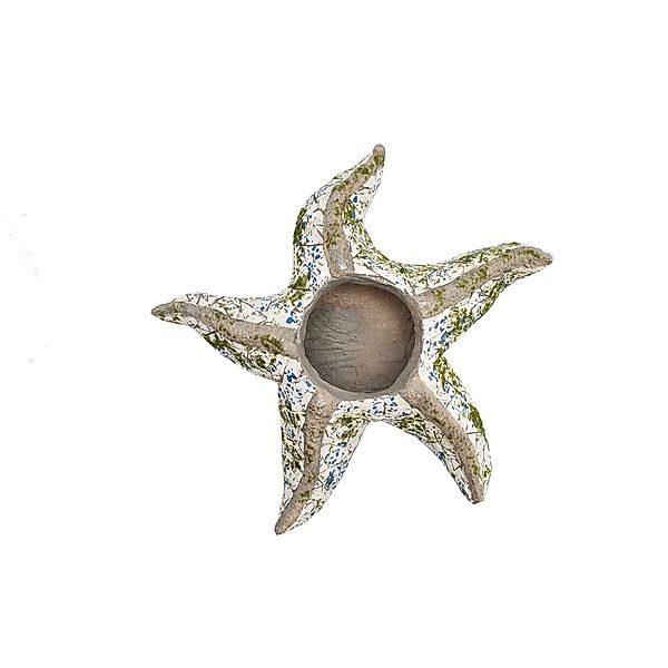 HTI-Line Tierfigur Pflanzgefäß Mosaik Seestern (1 günstig online kaufen
