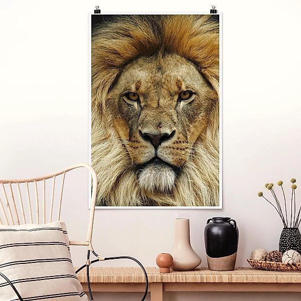 Poster Tiere - Hochformat Wisdom of Lion günstig online kaufen