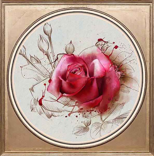 queence Acrylglasbild »Rose« günstig online kaufen