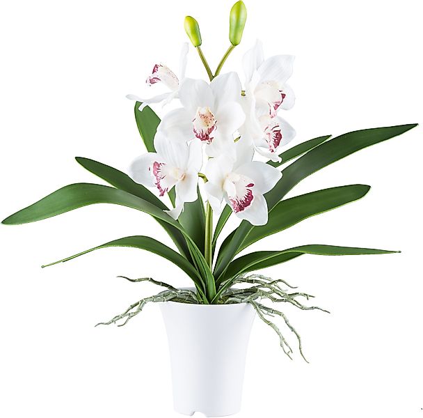 Kunstorchidee Orchidee Cymbidie, Creativ green, Höhe günstig online kaufen