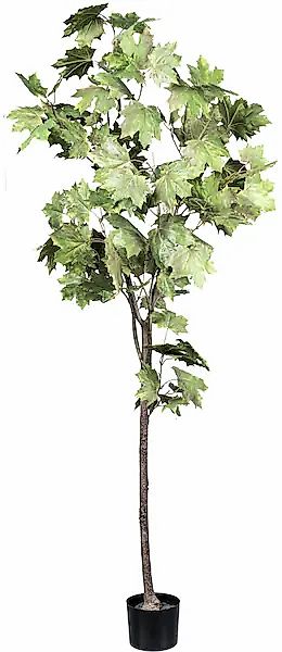 Creativ green Kunstbaum »Ahornbaum«, mit detailgetreuen Blättern günstig online kaufen