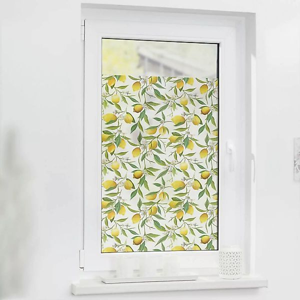 LICHTBLICK Fensterfolie gelb grün B/L: ca. 50x100 cm günstig online kaufen
