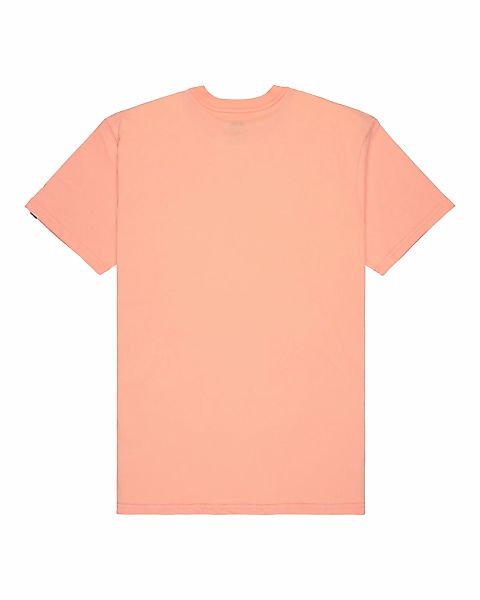 Quiksilver T-Shirt "EV Comp Logo" günstig online kaufen