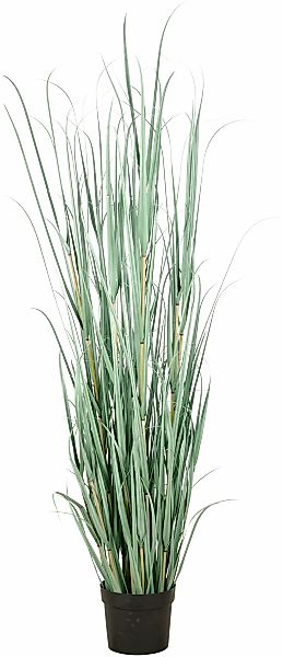 Creativ green Kunstgras "Grasbusch Cortaderia", in opulenter Größe günstig online kaufen